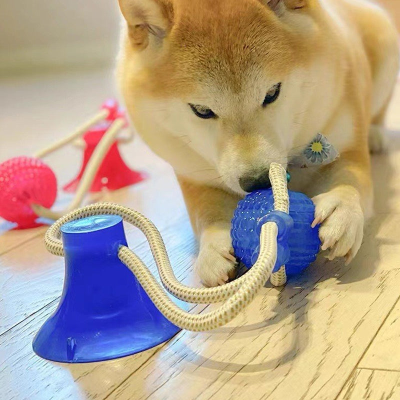 Beißspielzeug für Haustiere