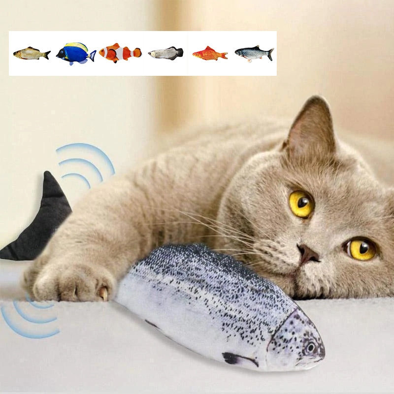 Elektrischer Fisch für Katze