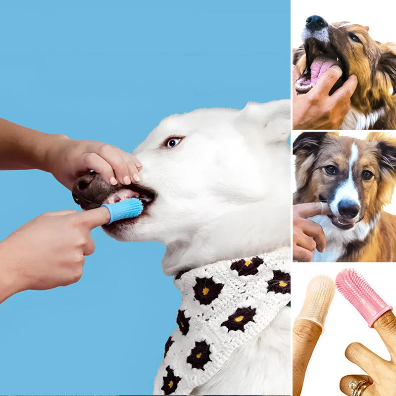 Fingerzähne für Haustiere
