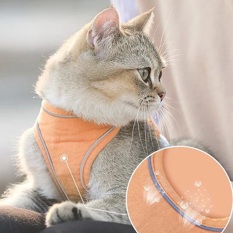 🐱Haustier Westengurt und Leine Set（1.5m）🐈