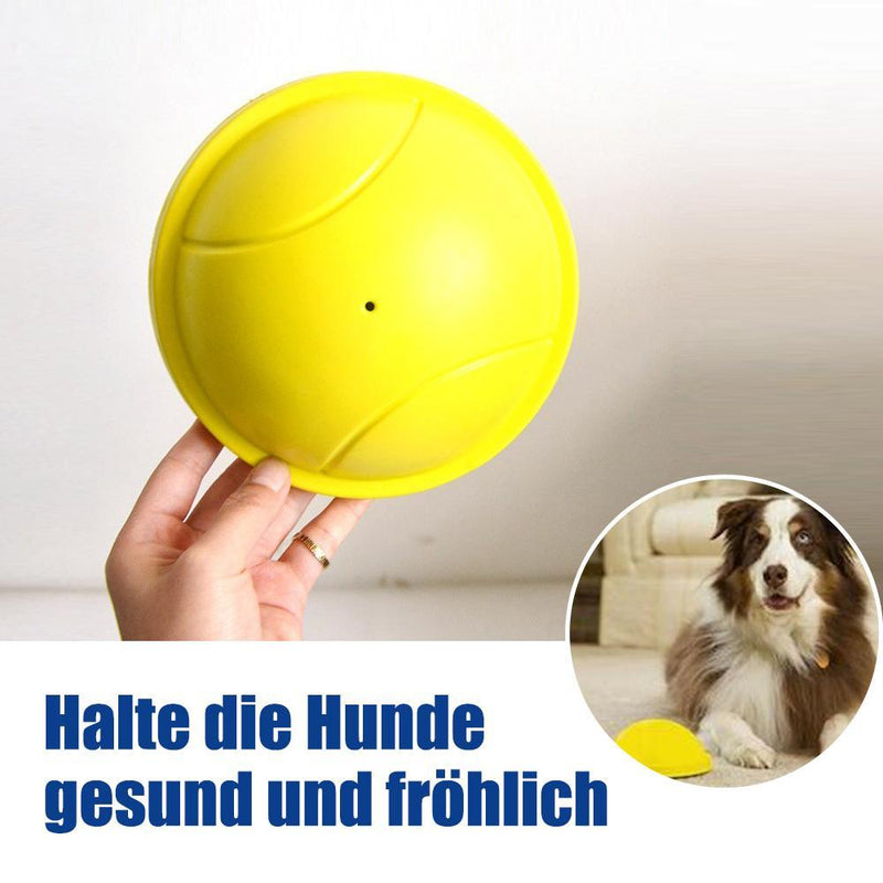 Haustier beißt Sound-Spielzeug