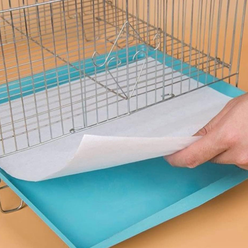 Hundeurin absorbierendes Papier🐶