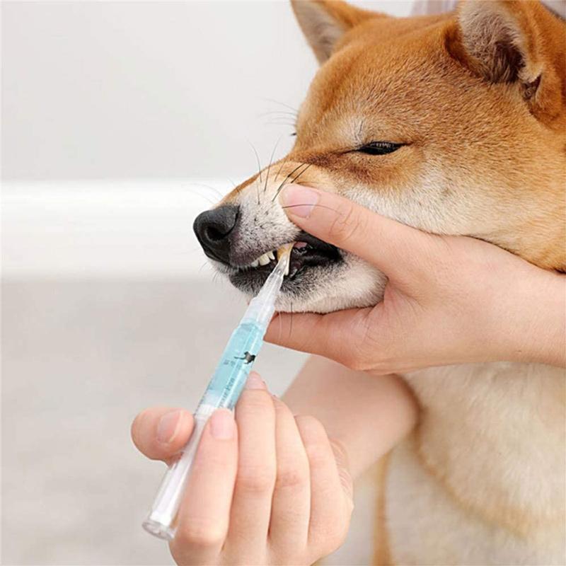 Haustier Hund / Katze Zähne Reinigungsstift