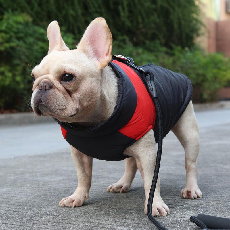 Hund Weste Jacke für kaltes Wetter mit Reißverschluss und Leinenring