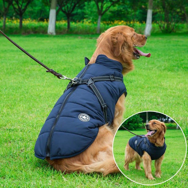 Wasserdichte Winterjacke für Hunde