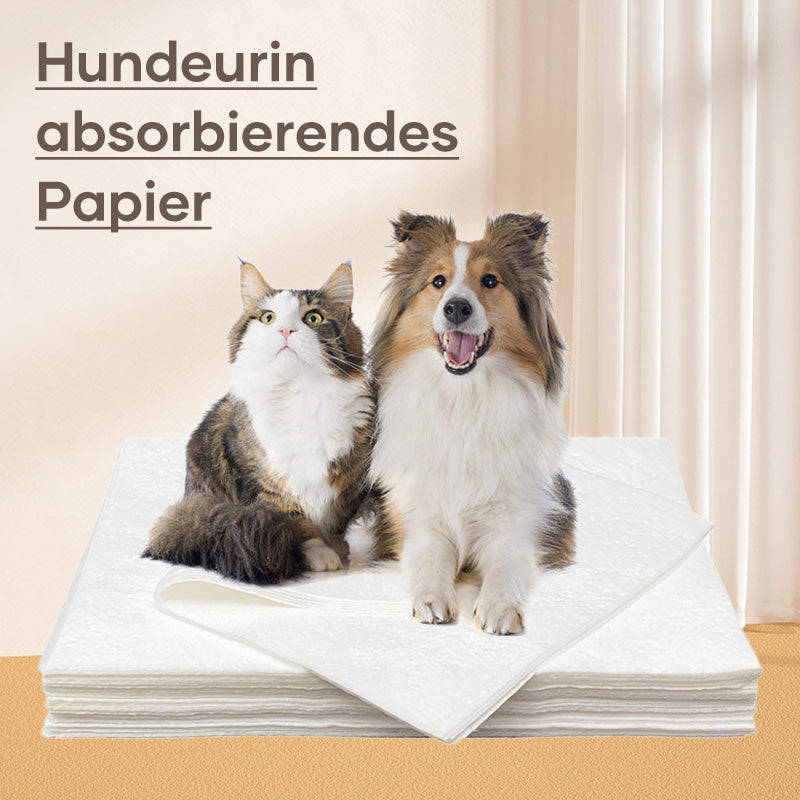 Hundeurin absorbierendes Papier🐶