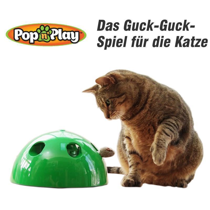 Das Guck-Guck-Spiel für die Katze