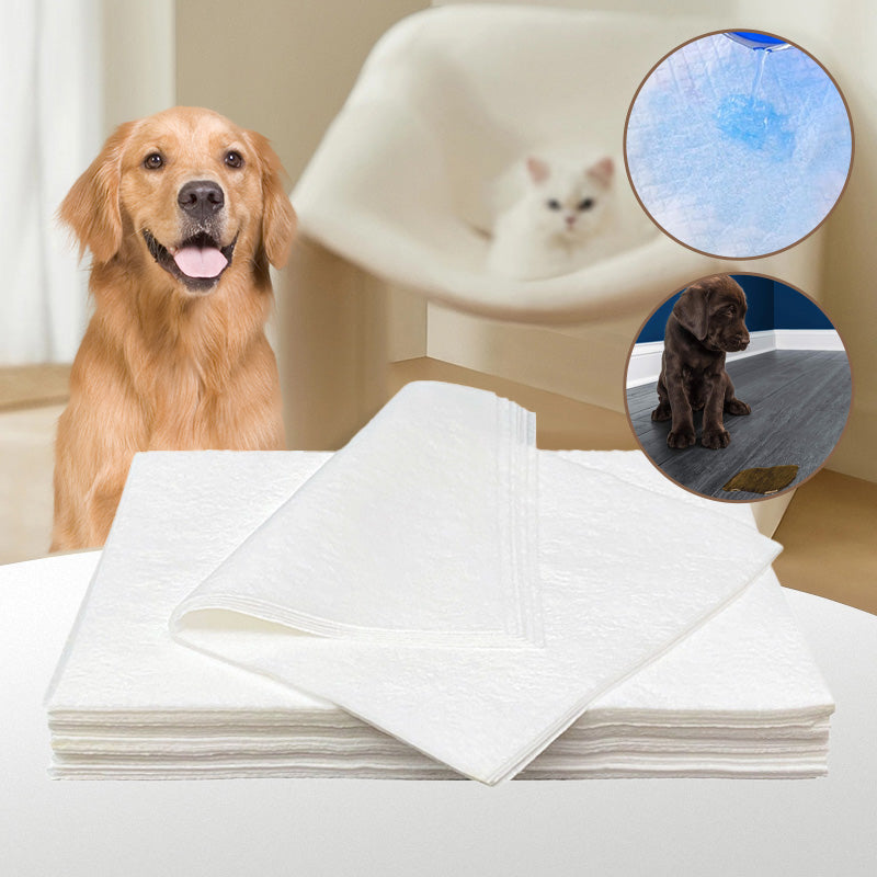Hundeurin absorbierendes Papier🐶