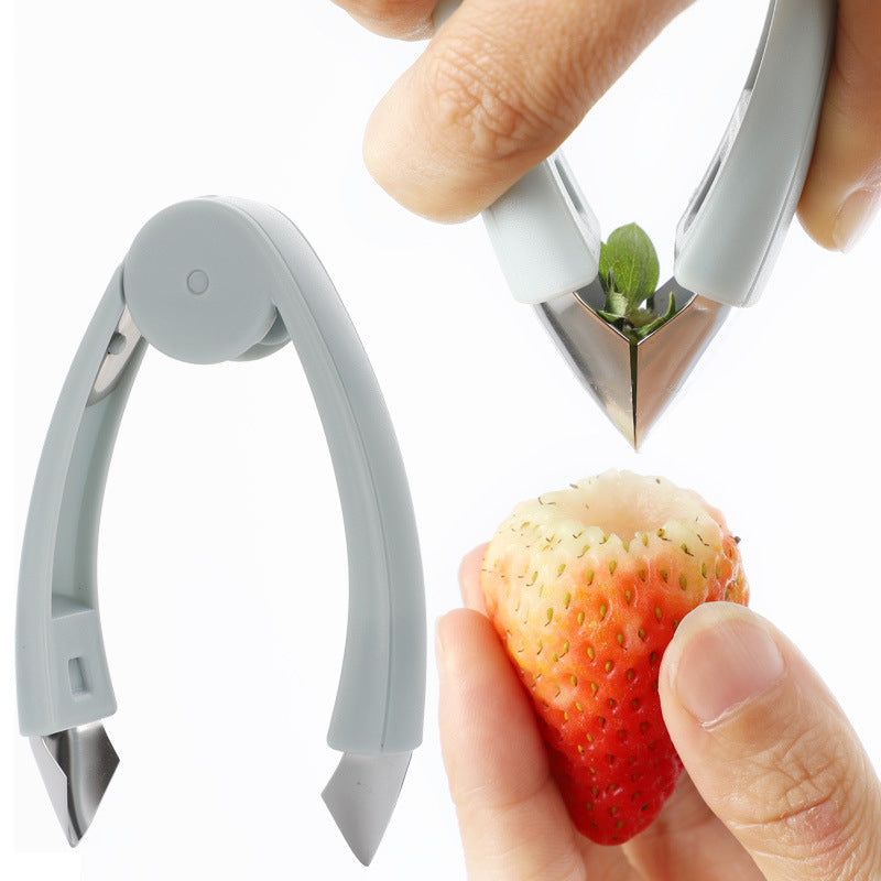 Multifunktionale Obstpinzette Samenentferner