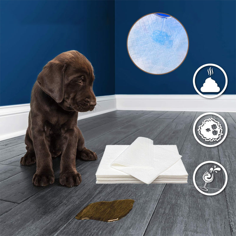Hundeurin absorbierendes Papier🐶