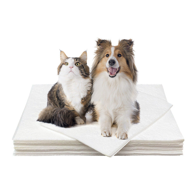 Hundeurin absorbierendes Papier🐶