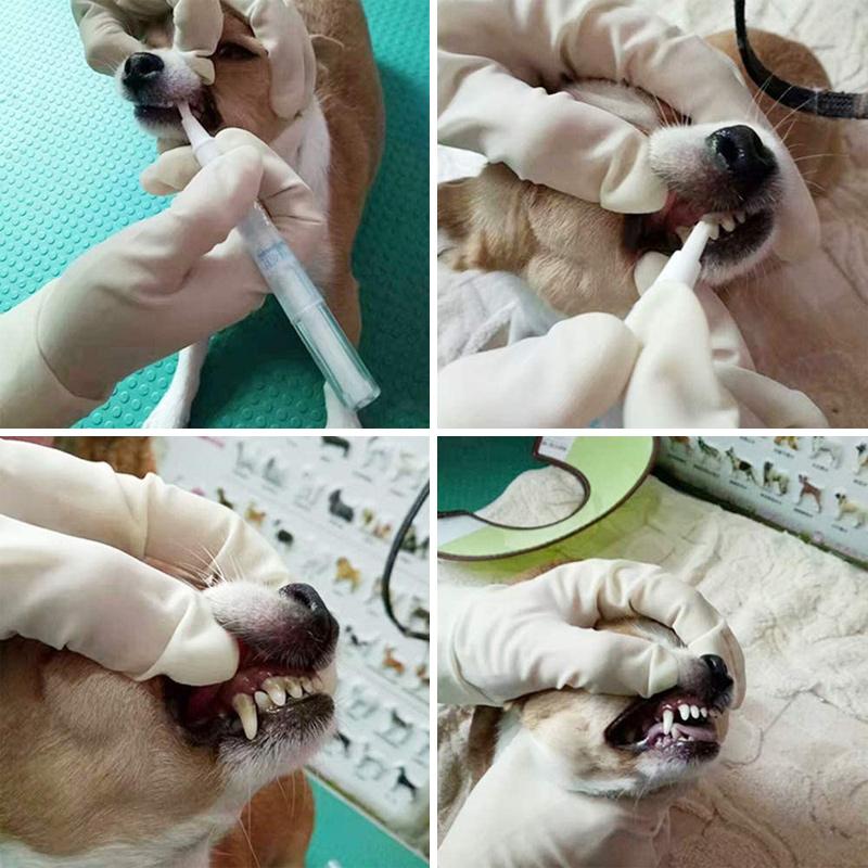 Haustier Hund / Katze Zähne Reinigungsstift