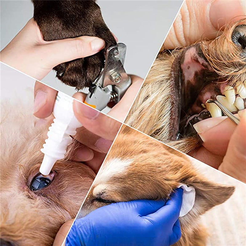 Hund und Katzen Hängematte