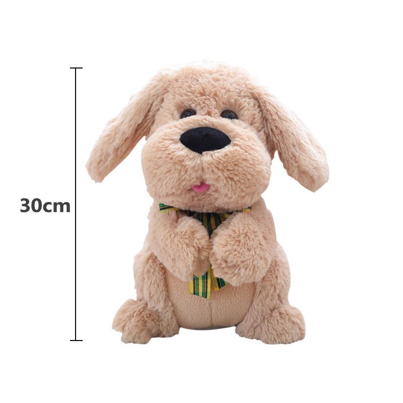 Der fröhliche klatschende Hund