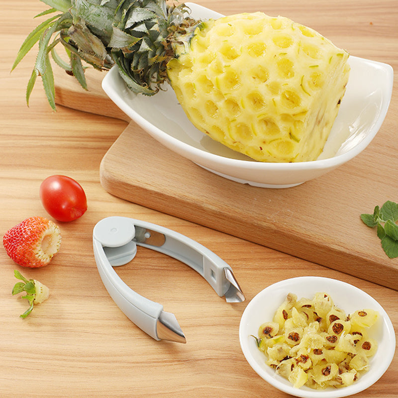 Multifunktionale Obstpinzette Samenentferner