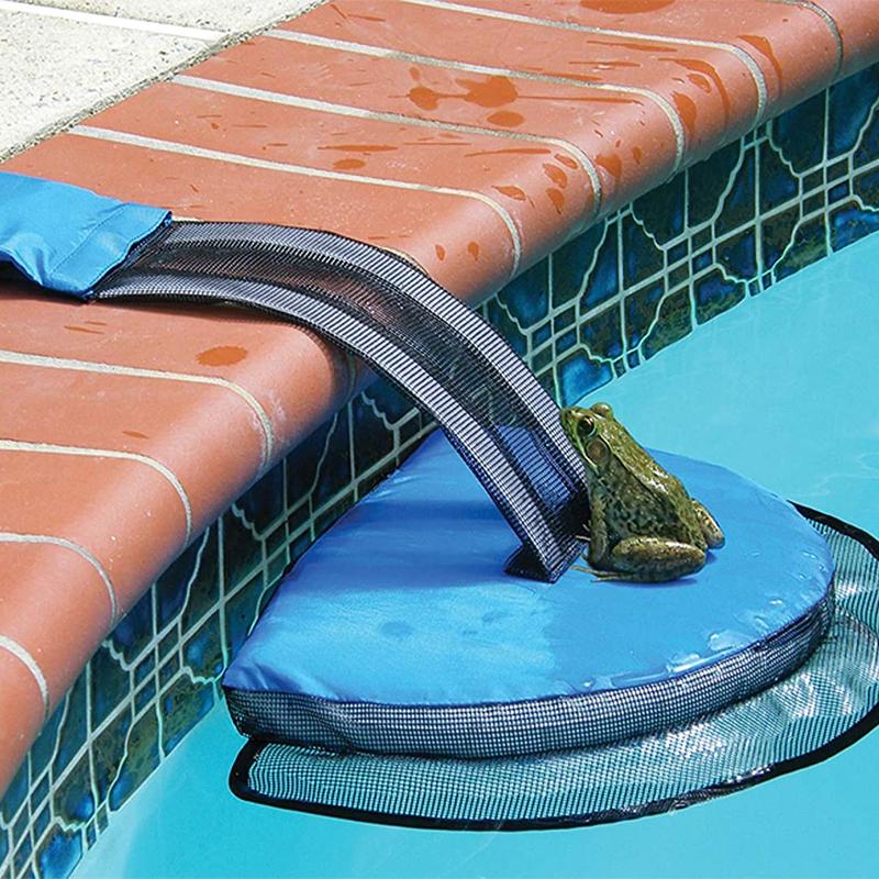 FrogLog Tierrettende Flucht Rampe für Pool