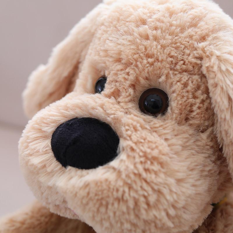 Der fröhliche klatschende Hund