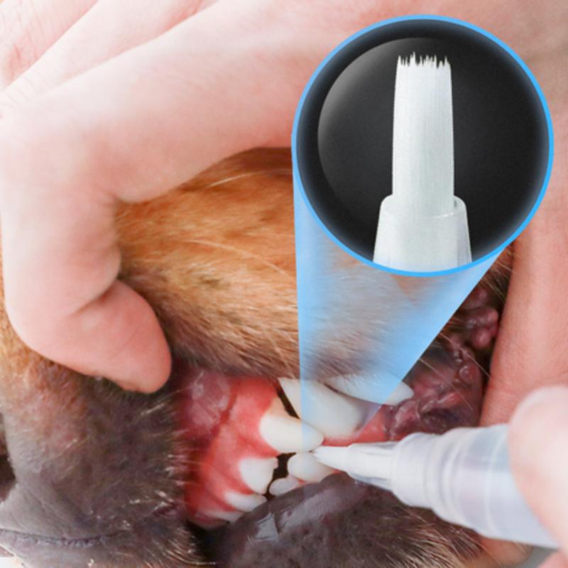 Haustier Hund / Katze Zähne Reinigungsstift