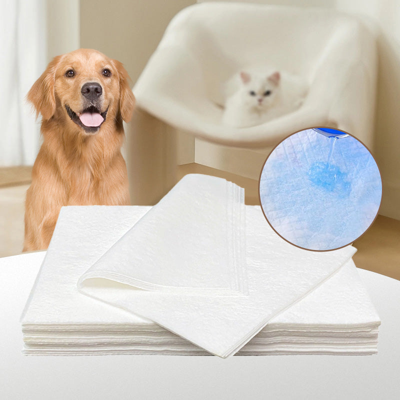 Hundeurin absorbierendes Papier🐶